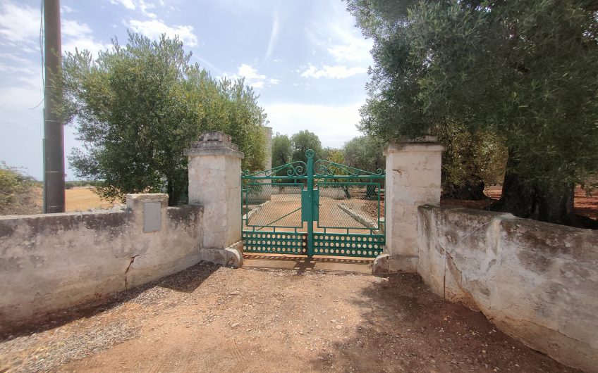 Ostuni – Uliveto con Fabbricato contrada Le Case #noncompratecaseacaso