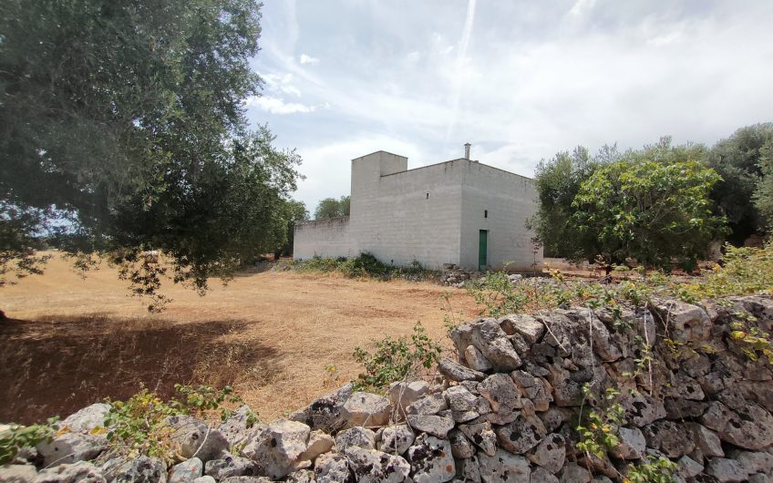 Ostuni – Uliveto con Fabbricato contrada Le Case #noncompratecaseacaso