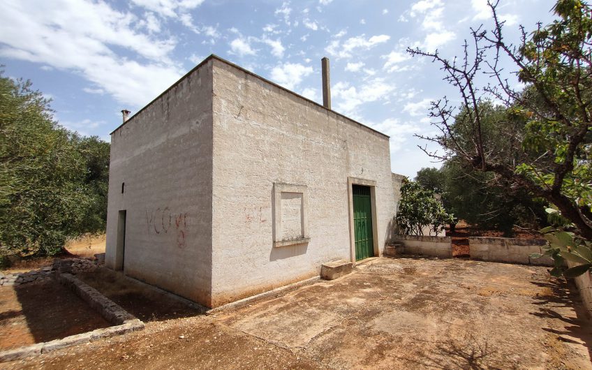 Ostuni – Uliveto con Fabbricato contrada Le Case #noncompratecaseacaso