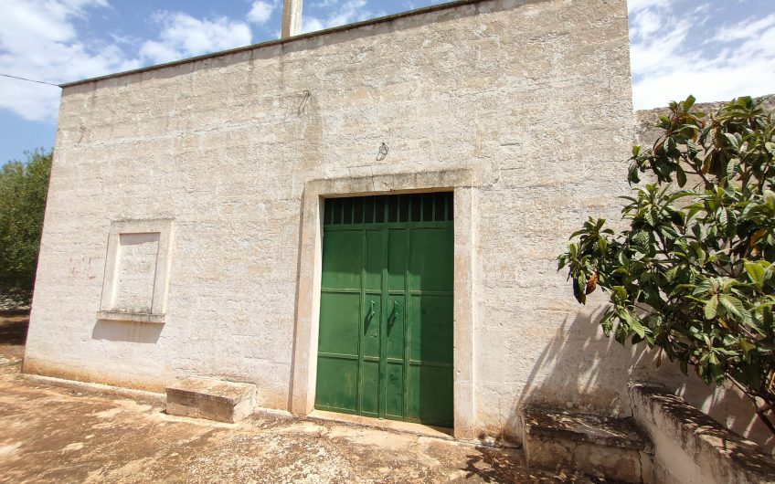 Ostuni – Uliveto con Fabbricato contrada Le Case #noncompratecaseacaso