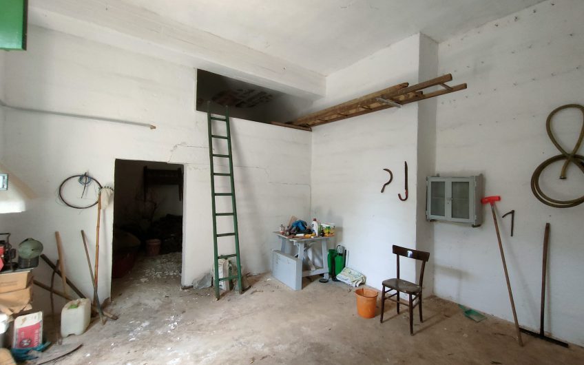 Ostuni – Uliveto con Fabbricato contrada Le Case #noncompratecaseacaso