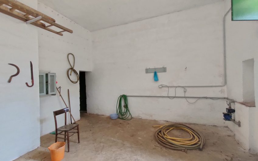 Ostuni – Uliveto con Fabbricato contrada Le Case #noncompratecaseacaso