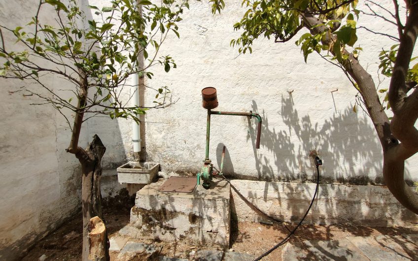 Ostuni – Uliveto con Fabbricato contrada Le Case #noncompratecaseacaso