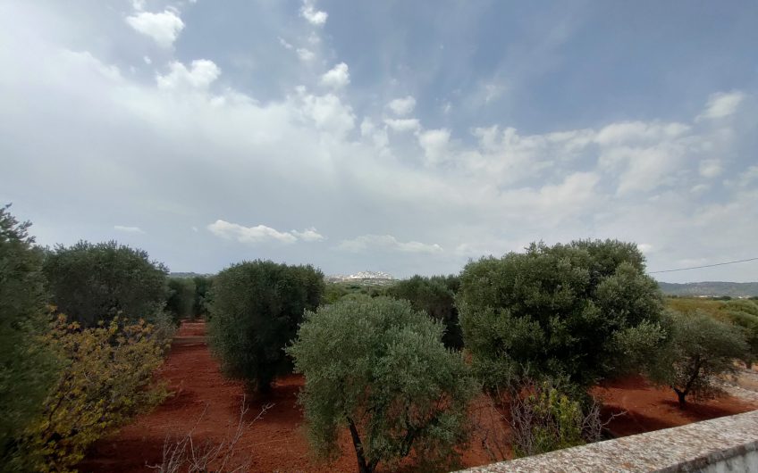 Ostuni – Uliveto con Fabbricato contrada Le Case #noncompratecaseacaso