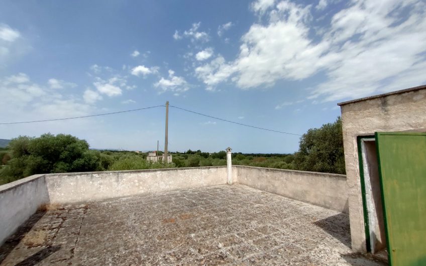 Ostuni – Uliveto con Fabbricato contrada Le Case #noncompratecaseacaso