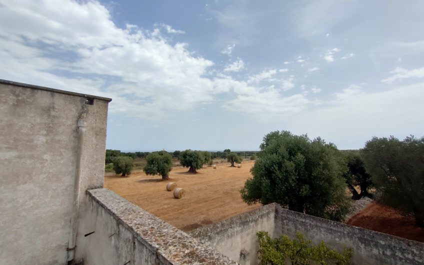 Ostuni – Uliveto con Fabbricato contrada Le Case #noncompratecaseacaso