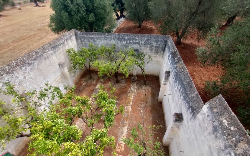 Ostuni – Uliveto con Fabbricato contrada Le Case #noncompratecaseacaso
