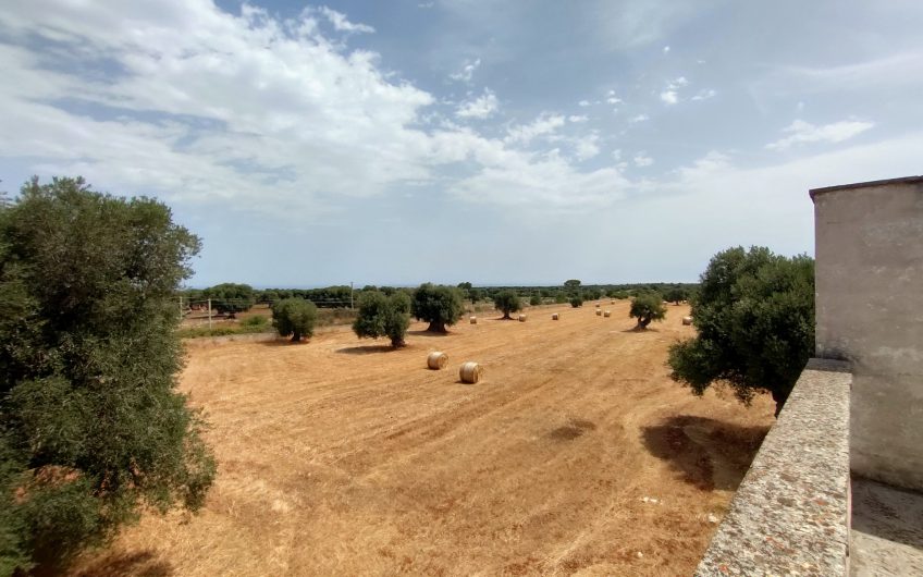 Ostuni – Uliveto con Fabbricato contrada Le Case #noncompratecaseacaso